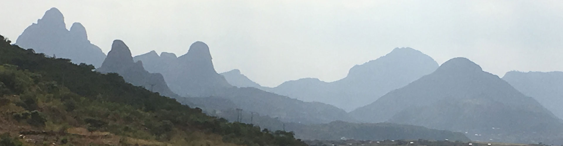 Final banner for Team